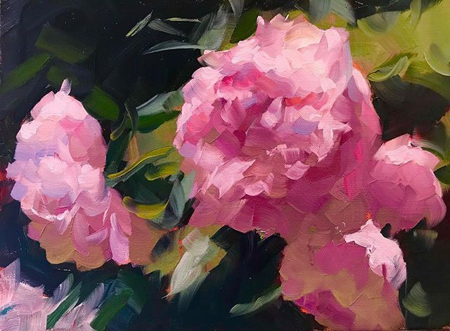The Peony Universe